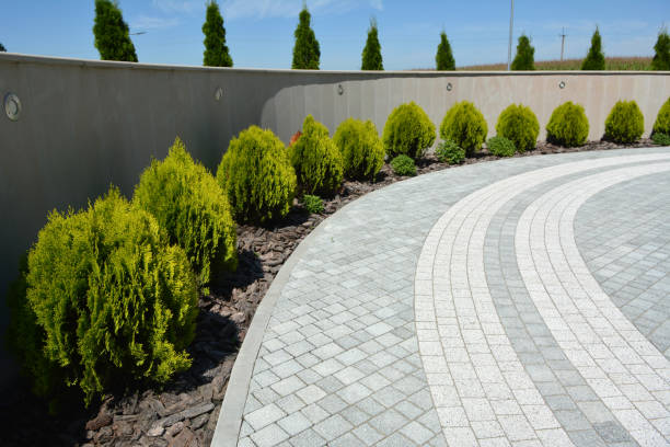 Professional Driveway Pavers in Rainbow Lakes Estates, FL